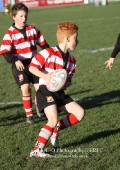 U9 v Atherstone @ CRFC 2010-11-13