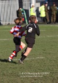 U9 v Atherstone @ CRFC 2010-11-13