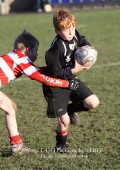 U9 v Atherstone @ CRFC 2010-11-13