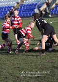 U9 v Atherstone @ CRFC 2010-11-13