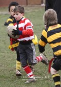U8 v Hinckley RFC - 30th Jan 11