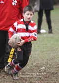 U8 v Hinckley RFC - 30th Jan 11