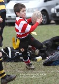 U8 v Hinckley RFC - 30th Jan 11