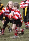 U8 v Hinckley RFC - 30th Jan 11