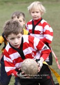 U8 v Hinckley RFC - 30th Jan 11