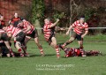 1st XV v Cheltenham North RFC - 26th Feb 2011