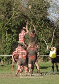 1st XV v Cheltenham North RFC - 26th Feb 2011