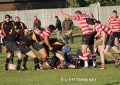 1st XV v OC's - 22nd Oct 2011