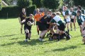 V's Wimborne