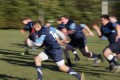 Training