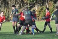 Tarleton v St. Edwards Old Boys