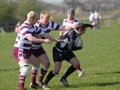 Castleford Panthers v Millom