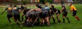 Newton v West Park Warriors