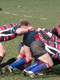 Bulldogs vs Eastleigh