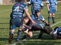 BRFC 1st XV v Leesbrook 12/2/11