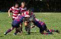 Hautapu vs Te Rapa 2011