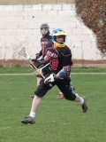 Thirds v Hillcroft March 2011
