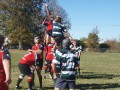 Max Taleo - High Flyer at Braidwood