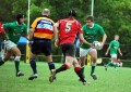Spinsky looking for Thommo