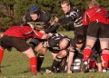 Hartpury College (H - 13 Feb 2011)