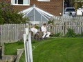 Adwalton vs Pollington 28/8/10